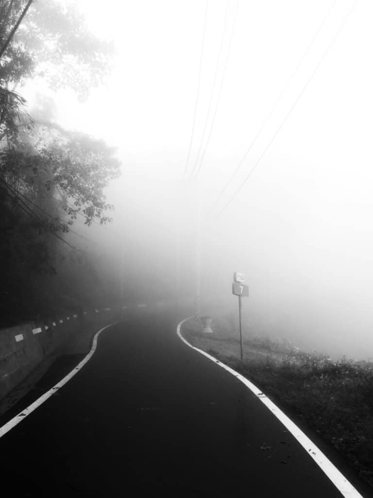Straße verschwindet im Nebel – Symbol dafür, dass die meisten Online-Business-Kurse keinen klaren Weg zum Erfolg zeigen